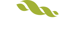 Logotema-NexCarbon-Branco